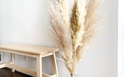 LES HERBES DE LA PAMPA – Comment les intégrer chez soi ?