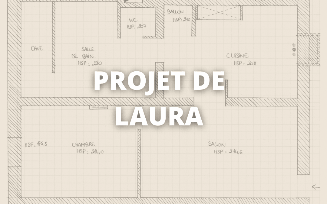 OPTIMISATION D’UN SOUPLEX À LA CAMPAGNE