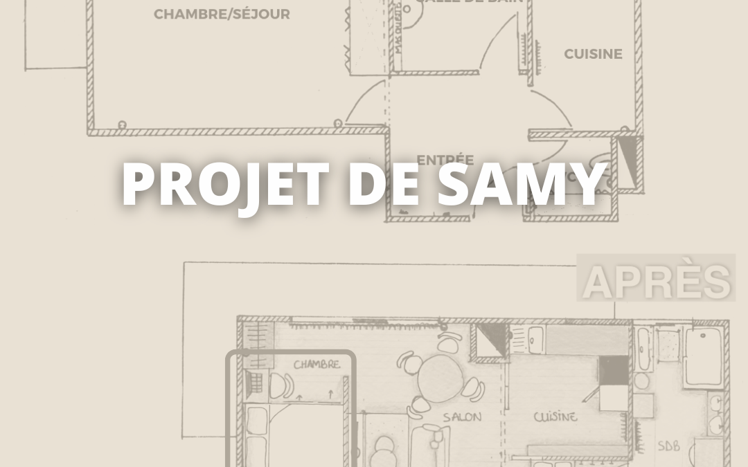 OPTIMISATION D’UN STUDIO EN T2 À PARIS